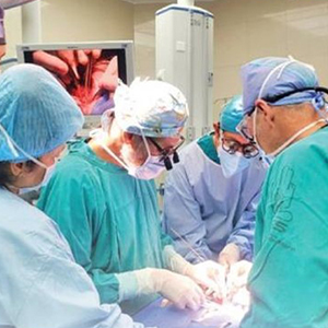 circular freud 300x300 circular freud 300x300